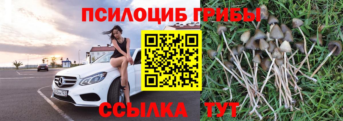 Псилоцибиновые грибы мицелий Нижневартовск
